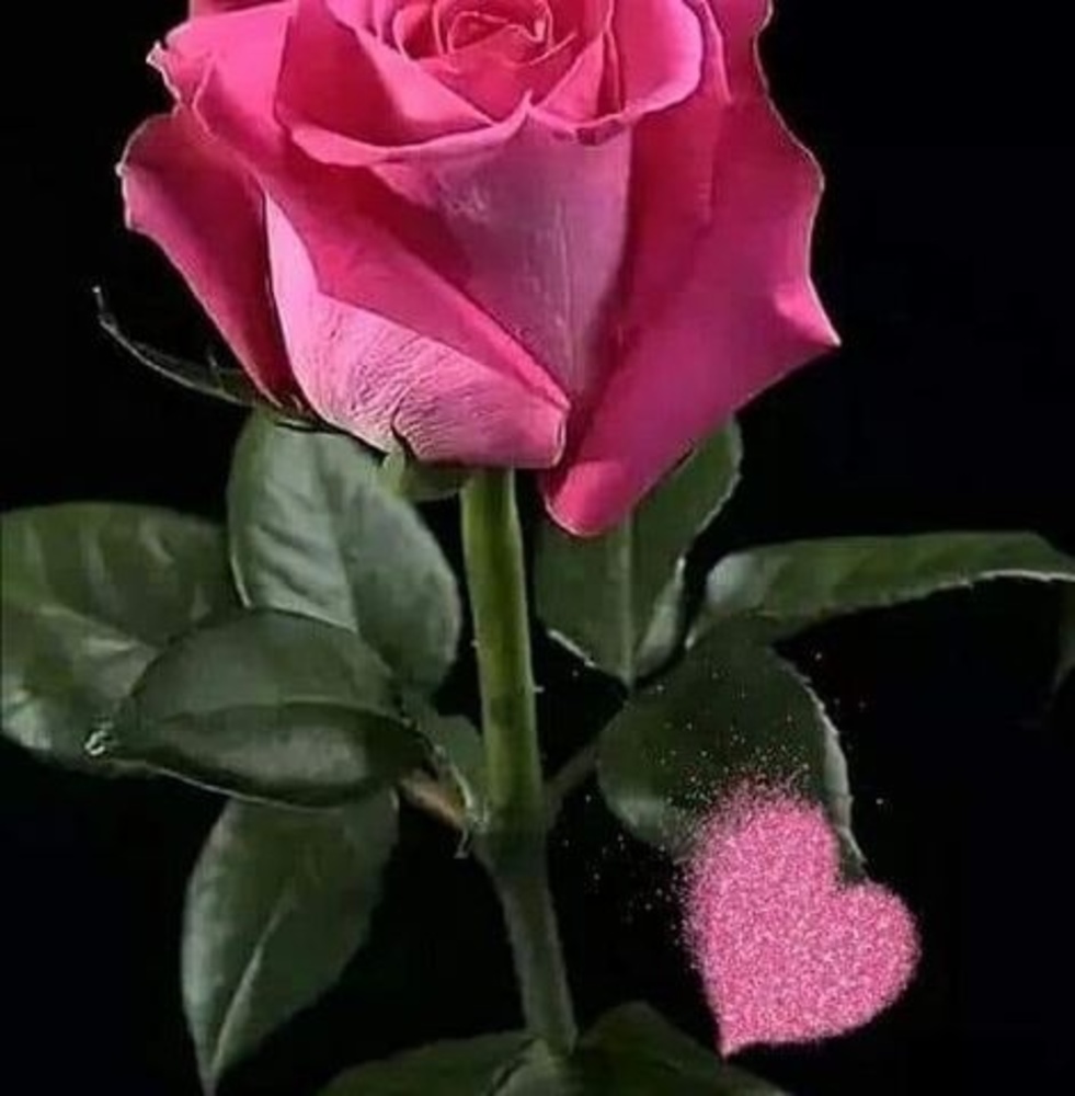 Meet your Posher, Assyria